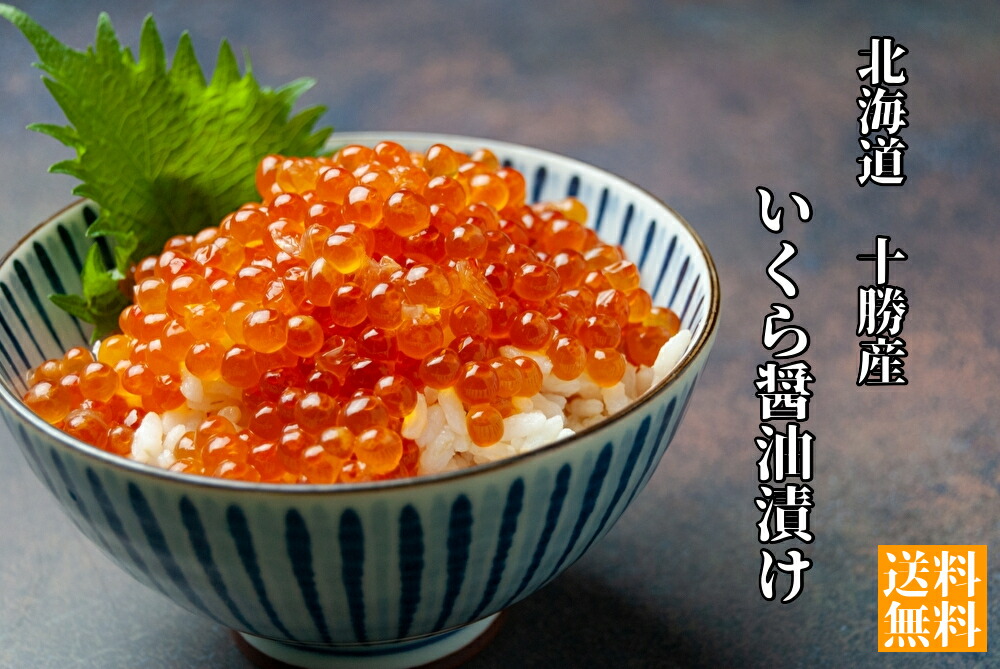 北海道 十勝創生 いくら 醤油漬け 500g 氷結 鰹節醤油 海鮮 いくら 醤油漬け 精良 イクラ 大粒 サーモンいくら しょうゆ漬け 善く善く高級 醤油 漬けいくら いくら醤油漬け イクラ醬油漬け 八木の傍輩 ごはんの友朋 差上物 お取り寄せグールメ 進物 贈与 食料雑貨類 食物