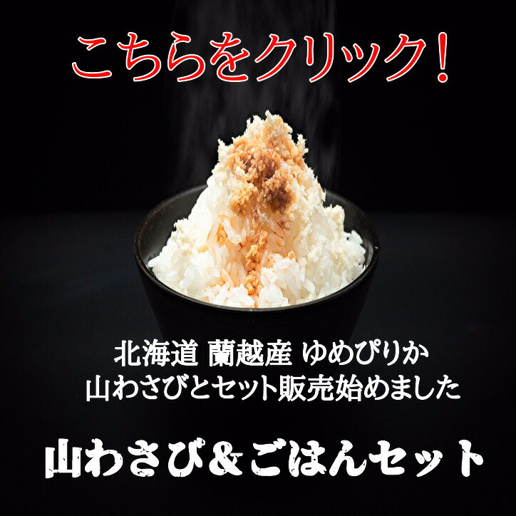 最大 Offクーポン 全国送料無料 北海道 十勝 産地直送 山わさび 100g 激辛 ホースラディッシュ 西洋わさび 蝦夷山わさび 帯広 生 わさび お土産 グルメ 焼肉 バーベキュー q 香味野菜 生わさび Www Bagdad Creations Com