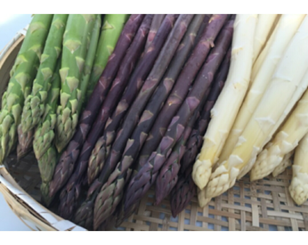 予約販売 ハネ品 北海道 十勝産 アスパラガス 1kg 朝採れ ハウス栽培 グリーンアスパラ ホワイトアスパラ パープルアスパラ 野菜 お土産 プレゼント ギフト Southwestne Com