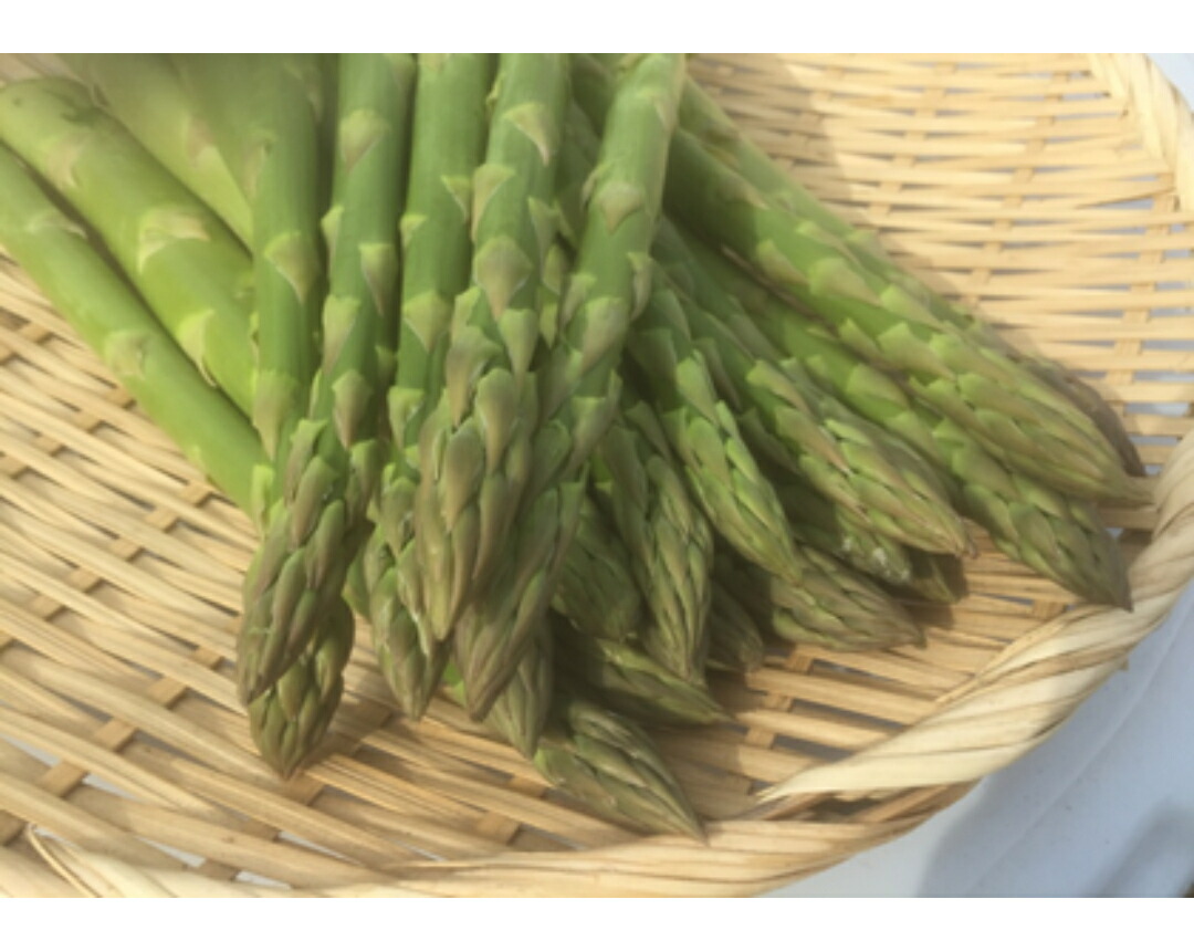 予約販売 ハネ品 北海道 十勝産 アスパラガス 1kg 朝採れ ハウス栽培 グリーンアスパラ ホワイトアスパラ パープルアスパラ 野菜 お土産 プレゼント ギフト Southwestne Com