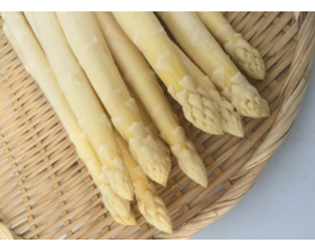予約販売 ハネ品 北海道 十勝産 アスパラガス 1kg 朝採れ ハウス栽培 グリーンアスパラ ホワイトアスパラ パープルアスパラ 野菜 お土産 プレゼント ギフト Southwestne Com