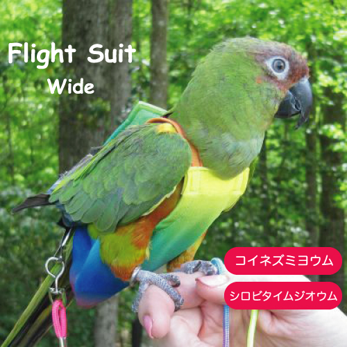 【楽天市場】フライトスーツ エックスワイド【Avian Fashions