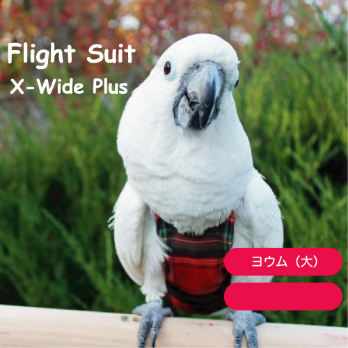 楽天市場】フライトスーツ エックスラージ【Avian Fashions】 : 鳥グッズの店Bird-style楽天市場店