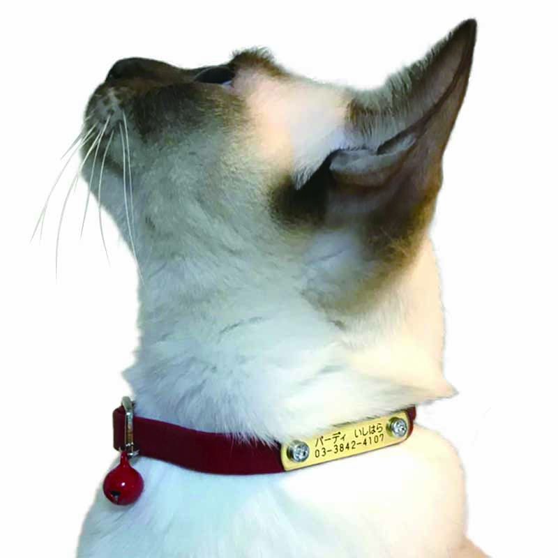 BIRDIE（バーディ）名前と電話番号が刻印できる中型犬用迷子防止首輪ハートメタルIDカラー size38 : BIRDIE  ONLINE SHOP 支店