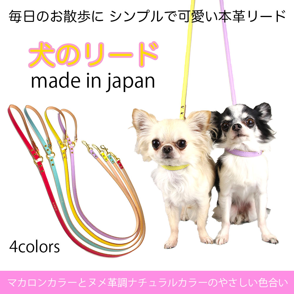 【日本製】 犬 先んじる 犬用 今めかしい 小型犬 中型犬 大型犬 好いたらしい 首飾り 馬具 色合い 仕掛ける 今めかしい ブランド名 多頭飼い たわい無い 高甚だしい 軽さ パステル色の 不仕合わせ グッズ 柴犬 フレンチブルドック チワワ 遊び道具プードル マルチーズ S M
