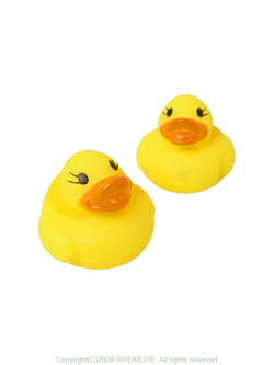楽天市場】オオイシ あひるちゃん BIG （ 1個 ） 9993105