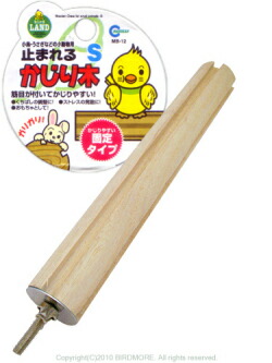 楽天市場】マルカン 保温電球カバー付き 40W 9991964 : 飼鳥用品