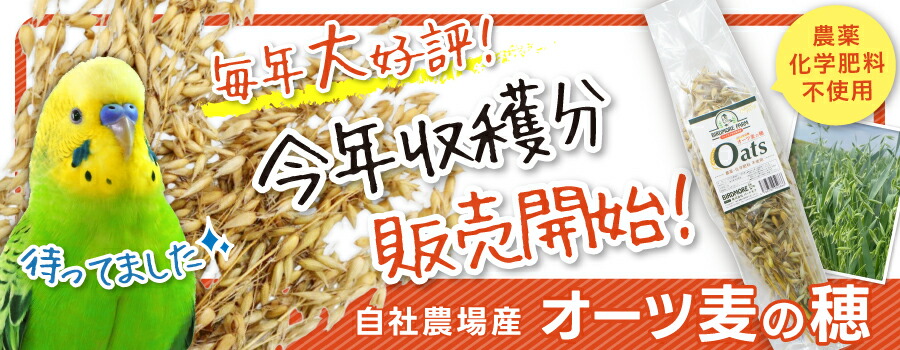 山鳥毛　等身大ポスター　縦　未開封品 山鳥毛等身大ポスター 玉置城二押形複製 縦 - 長船ふれあい物産