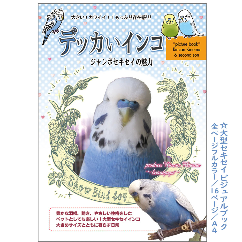 楽天市場 ことり御屋 書籍 デッカいインコ 234a0231 ネコポス 対応可能 Birdmore バードモア Craft Garden 鳥用品 鳥グッズ 鳥 とり トリ インコ プレゼント 飼鳥用品専門店birdmore楽天市場店