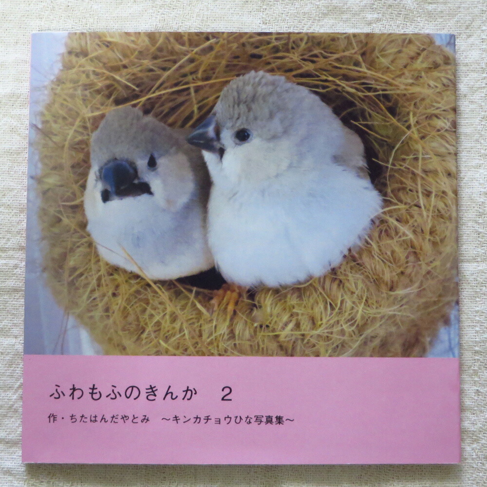 楽天市場 楓工房 写真集 もえひなぶん 文鳥 多品種 2a0270 ネコポス 対応可能 Birdmore バードモア Craft Garden 鳥用品 鳥グッズ 雑貨 グッズ 鳥 とり トリ プレゼント 飼鳥用品専門店birdmore楽天市場店 楽天市場 楓工房 写真集 もえひなぶん 文鳥 多品種 2a0270 ネコポス 対応可能 Birdmore バードモア Craft Garden 鳥用品 鳥グッズ 雑貨 グッズ 鳥 とり トリ プレゼント 飼鳥用品専門店birdmore楽天市場店