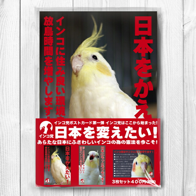 楽天市場】TOMO YAMASHITA DESIGN STUDIO. インコ党第三弾
