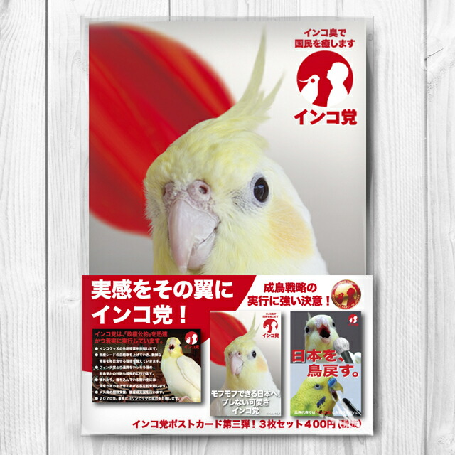 楽天市場】TOMO YAMASHITA DESIGN STUDIO. オカメインコ雑誌