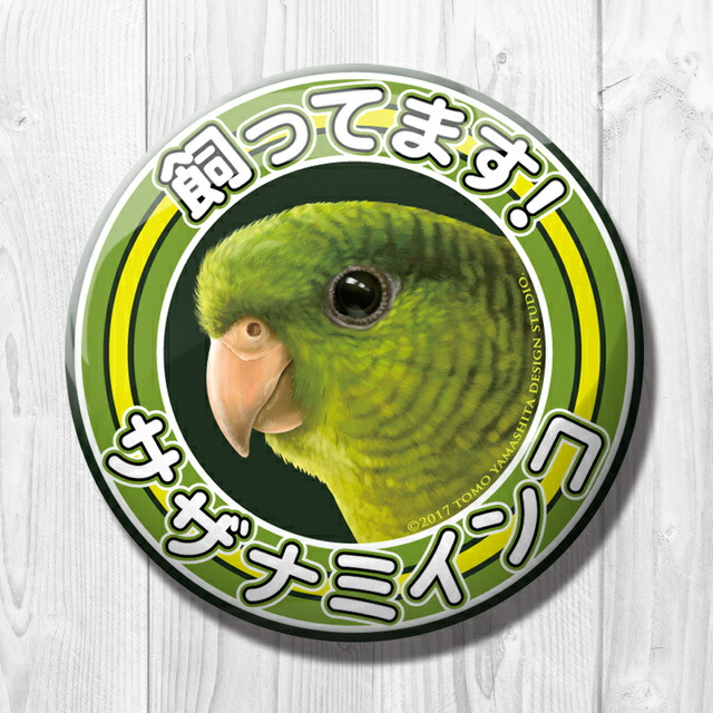 楽天市場】TOMO YAMASHITA DESIGN STUDIO. / 飼ってます缶バッジ 「 コザクラインコ ノーマル 」 / 195A0121 ネコポス  対応可能 ( BIRDMORE バードモア CRAFT GARDEN 鳥用品 鳥グッズ 雑貨 グッズ 鳥 とり トリ インコ プレゼント ) : 飼鳥 用品専門店BIRDMORE楽天市場店