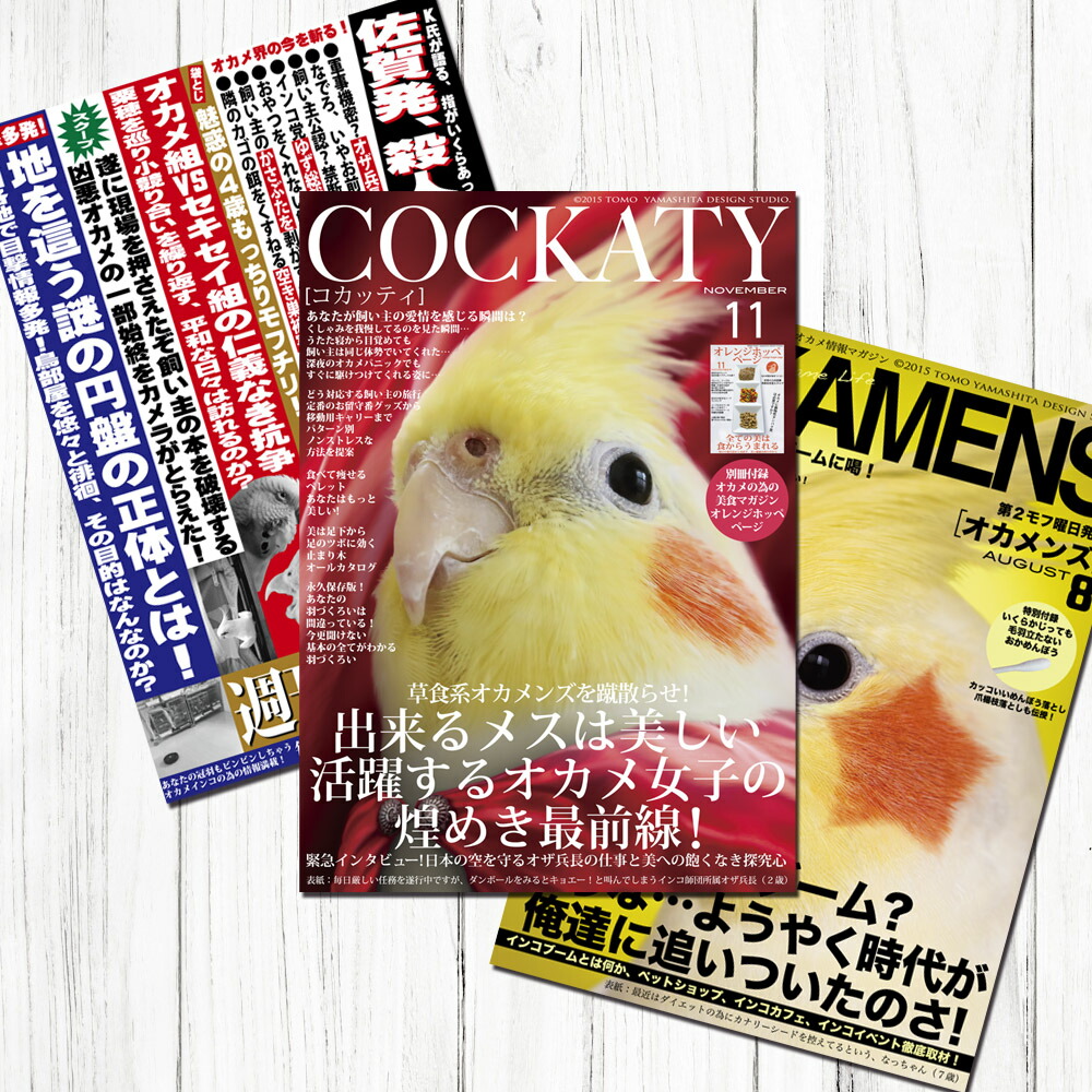 楽天市場】TOMO YAMASHITA DESIGN STUDIO. B3ポスター 雑誌シリーズ2 3枚セット 195A0207 BIRDMORE  バードモア CRAFT GARDEN 鳥用品 鳥グッズ 雑貨 鳥 とり プレゼント : 飼鳥用品専門店BIRDMORE楽天市場店