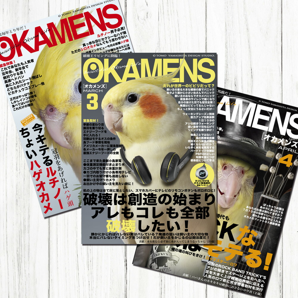 楽天市場】TOMO YAMASHITA DESIGN STUDIO. B3ポスター インコ党1