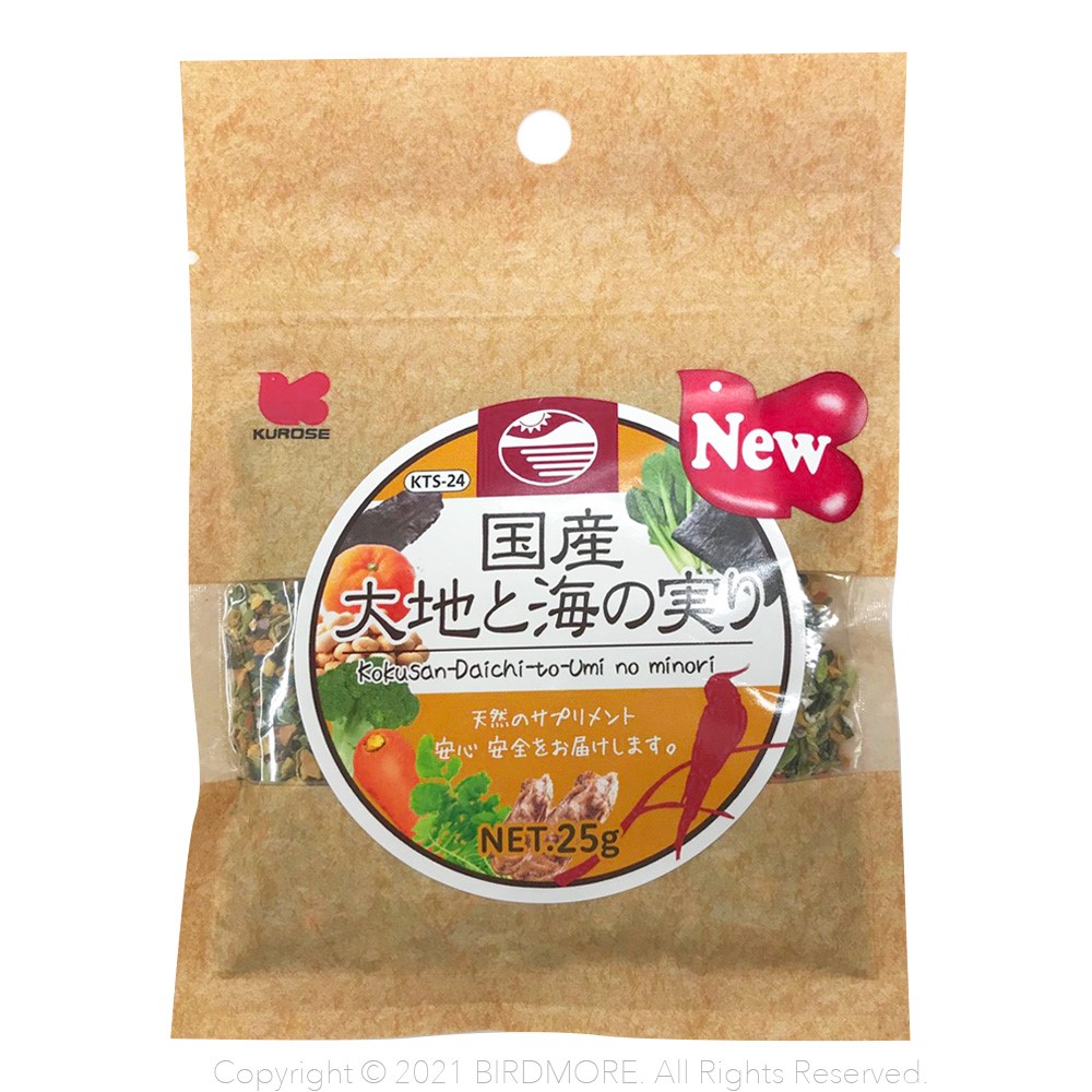 楽天市場】北海道産 殻付き 松の実 30g ネコポス対応可能