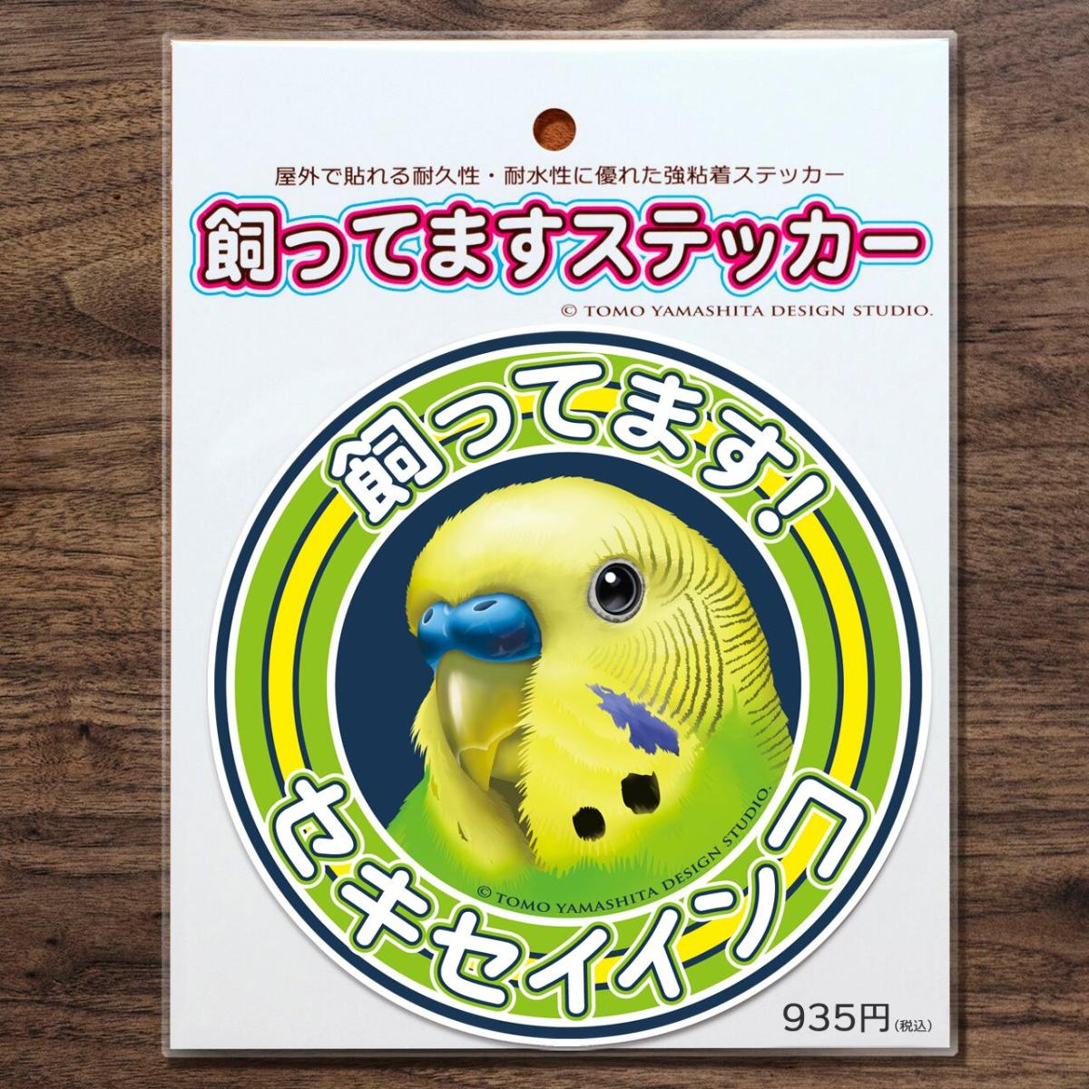 すてぱん様オーダーページ 猫 ウロコインコ 🎥てっかお姉ちゃんは甘えんぼう💙💖 #ウロコインコ#ウロコ