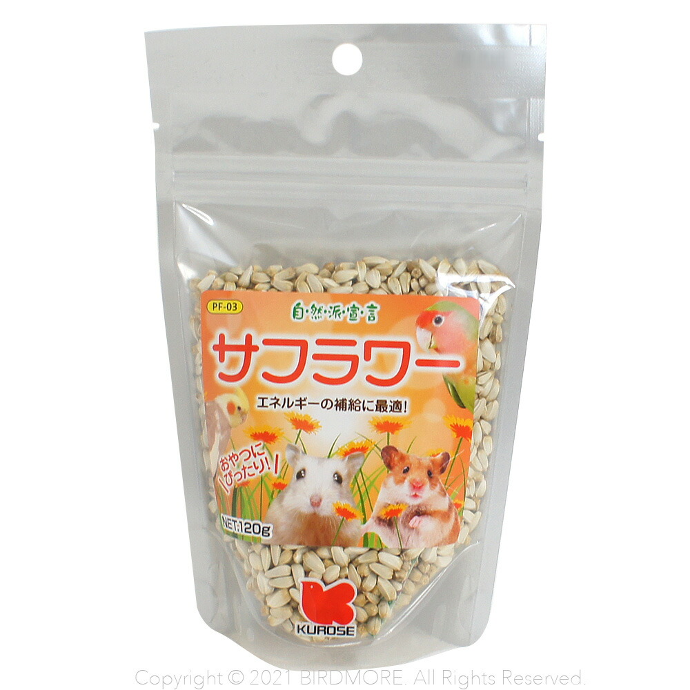 楽天市場】北海道産 殻付き 松の実 30g ネコポス対応可能