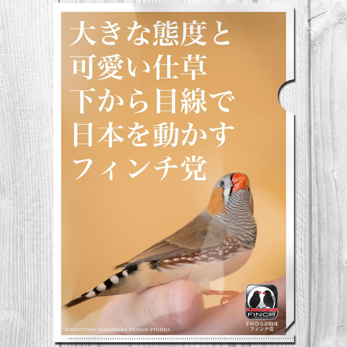 楽天市場】TOMO YAMASHITA DESIGN STUDIO. A4クリアファイル