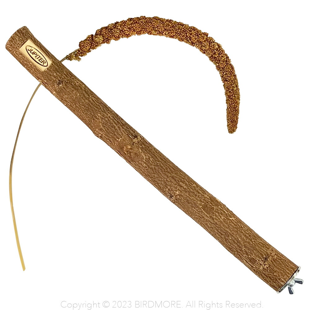 楽天市場】インコ 止まり木 とまり木 カワイ 穂がさせる ニームパーチ