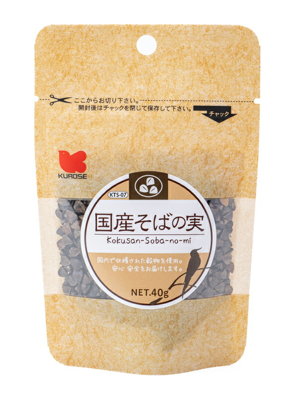 北海道十勝産 殻付き松の実1.5キロ 楽天市場】北海道産 殻付き 松の実