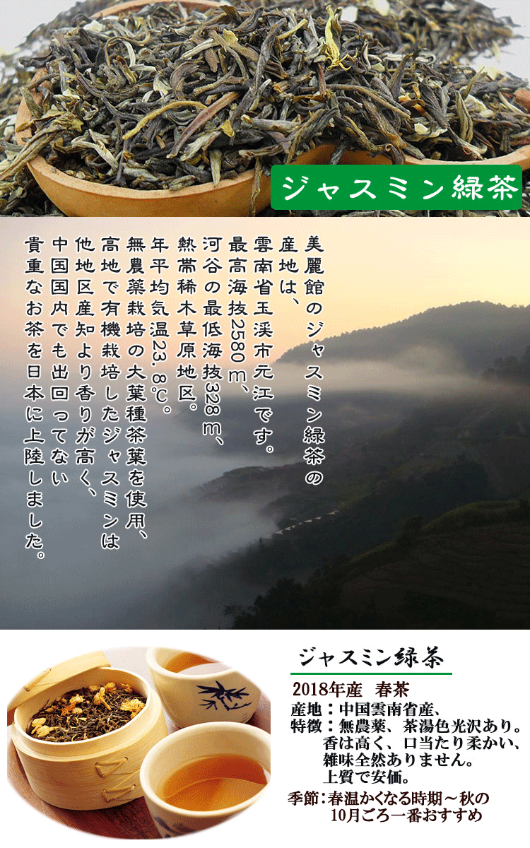 ジャスミン 緑茶50g 中国茶 ジャスミンティー 花茶 健康茶 茉莉花茶 香 茶 Giosenglish Com