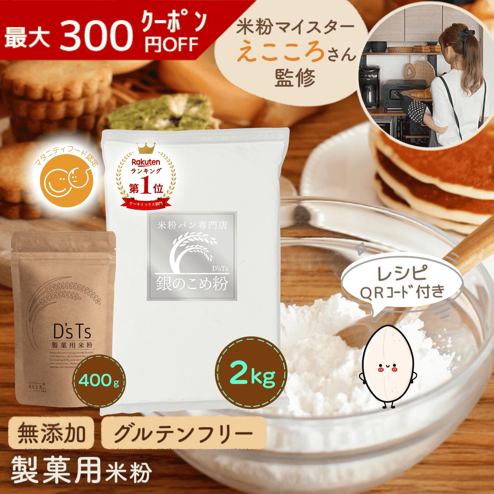 米粉 九州ミズホチカラ米粉 300g×10袋 《グルテンフリー》