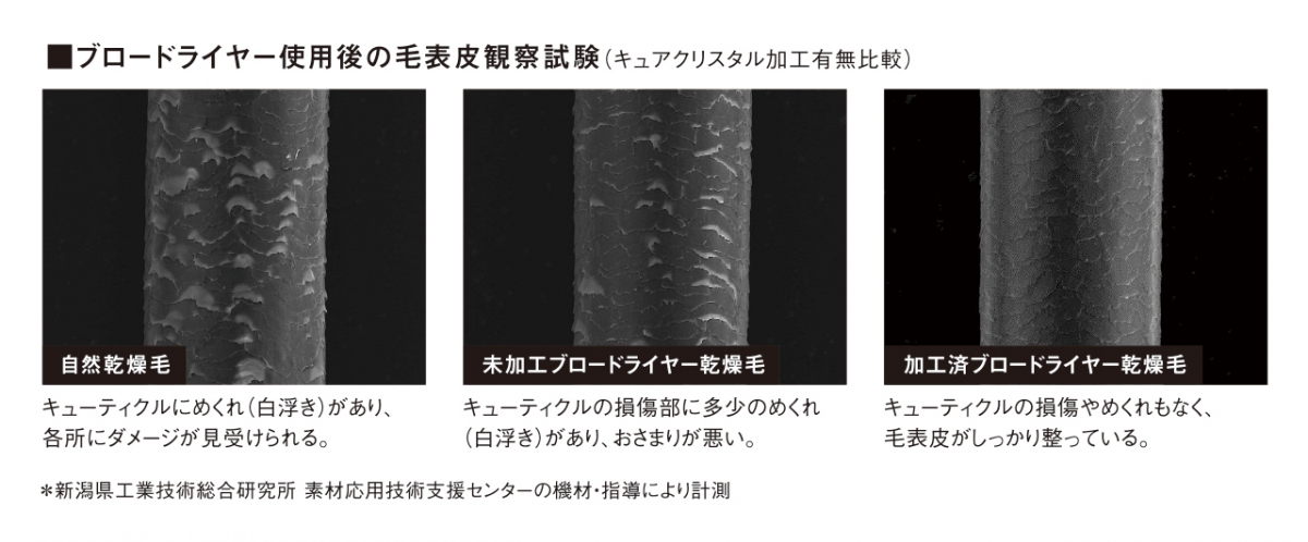 ホリスティックキュア 殴ドライヤー Ccibd G01b 教養可視光 美お髪ドライヤー 渦紋ドライヤー ヘヤーメイク ヘアしつらえる コテ 軽さ か細い Holistic Cure Blow Dryer ホリスティックキュアーズ クレイツ ドライヤー 使えば実践ほど 毛後来まで奥ゆかしいで潤いの在る