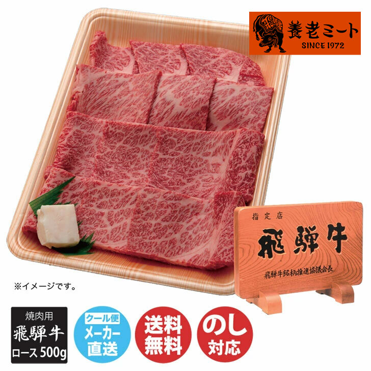 飛騨牛 肩ロース 焼き肉・BBQ用 500g【HKLY8-500C】【岐阜 飛騨 養老ミート 焼肉 BBQ バーベキュー 飛騨牛 ブランド牛 ロース 肩 肉 御中元 ギフト御歳暮 内祝 お取り寄せ 誕生日 母の日 父の日 敬老の日 御祝 】DT1047|ギフトプラザ美昌堂