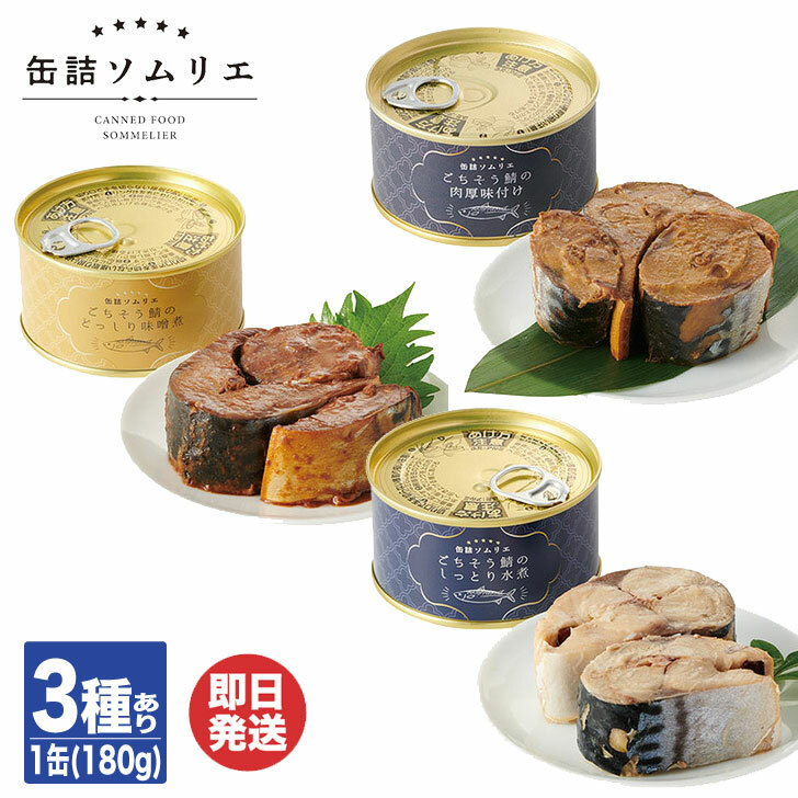 楽天市場】【ふるさと納税】＼父の日／さば缶セット 水煮 味噌煮