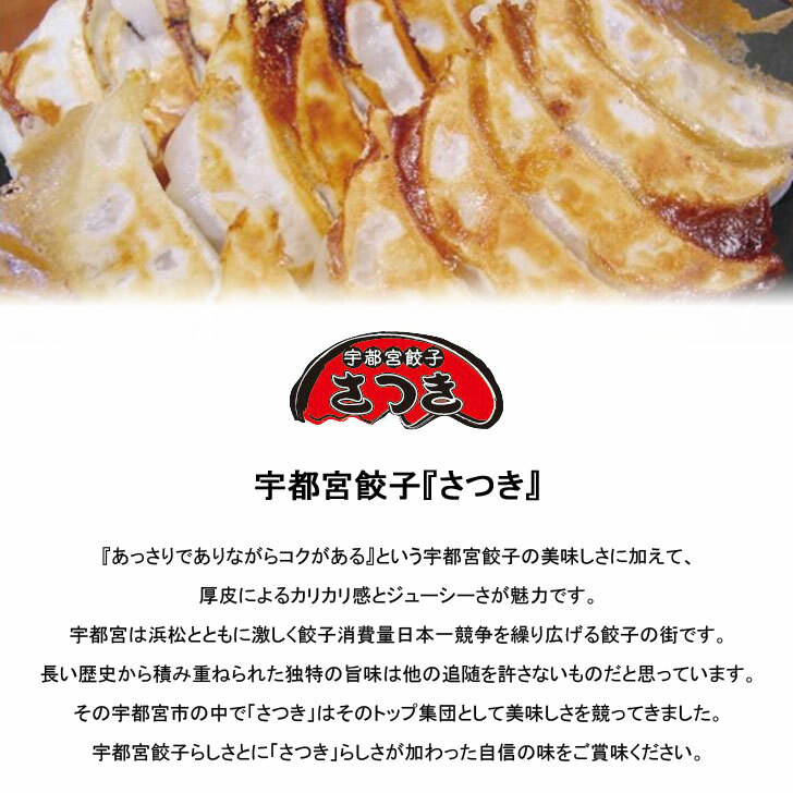 栃木宇都宮餃子4種の餃子味わいセット【餃子ギョーザB級グルメ惣菜ご当地産直グルメご当地ギフト贈答品贈り物お歳暮お中元内祝御祝お返し御礼挨拶母の日父の日敬老の日土産お取り寄せ】(TE5084)