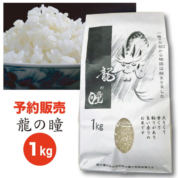 年末のプロモーション大特価！ 龍の瞳 白米 ５ｋｇ 令和４年米