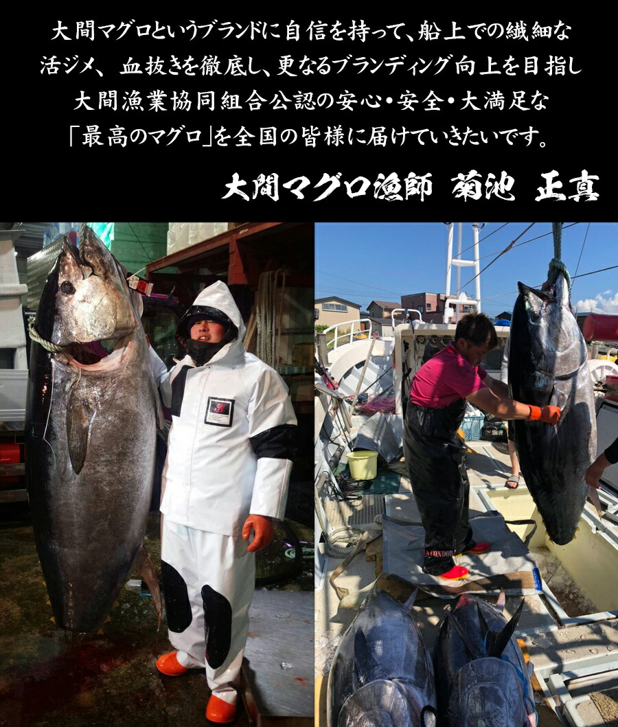 マグロ トロ菊池正真の 大間マグロ 中トロ0g 1 切り落とし100g 2 大間天然本まぐろ 冷凍 送料無料 美食サークル大間のマグロ 漁師が釣り上げた大間天然本まぐろ