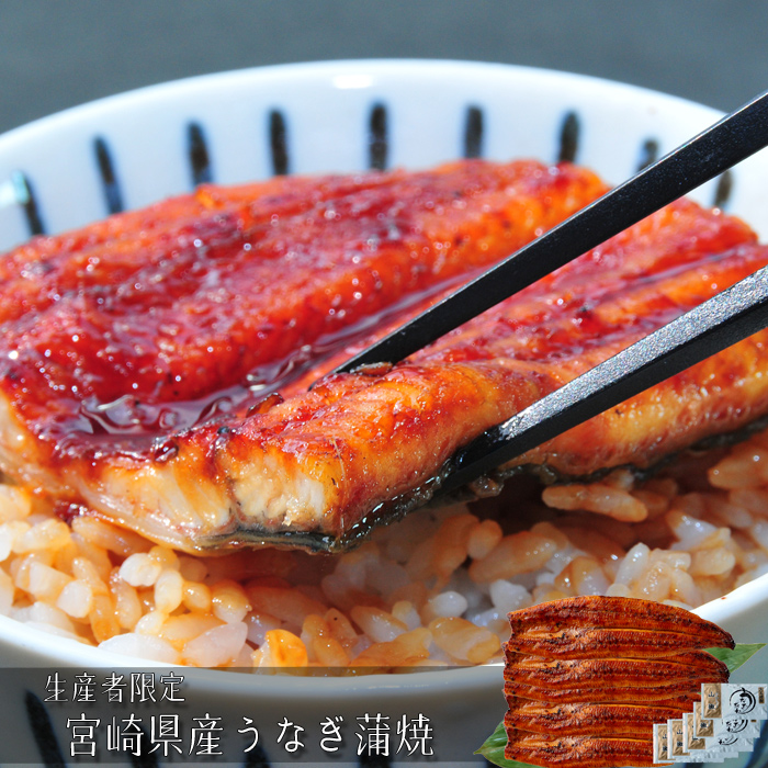 生産者限定　宮崎県産うなぎ蒲焼［送料無料］[内祝い・出産内祝い・結婚内祝い・快気祝い お返し ギフトにも！][美食サークル]