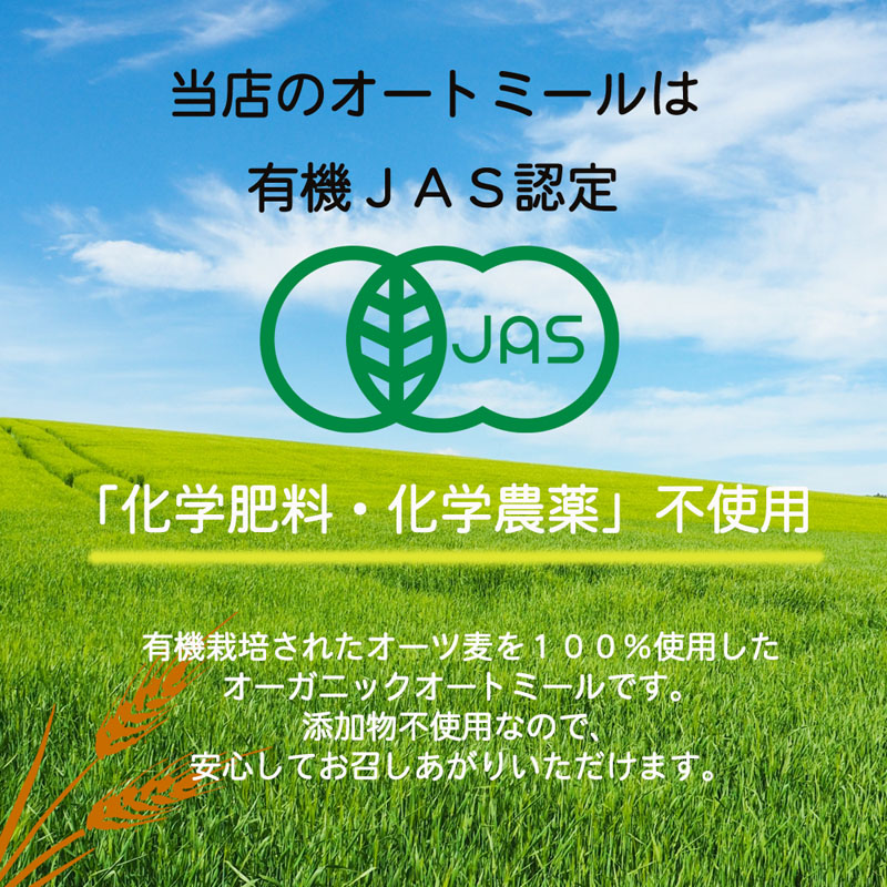  １輪から愉しむ花のある暮らし  ＴＪ　ＭＯＯＫ／宝島社(編者) afb