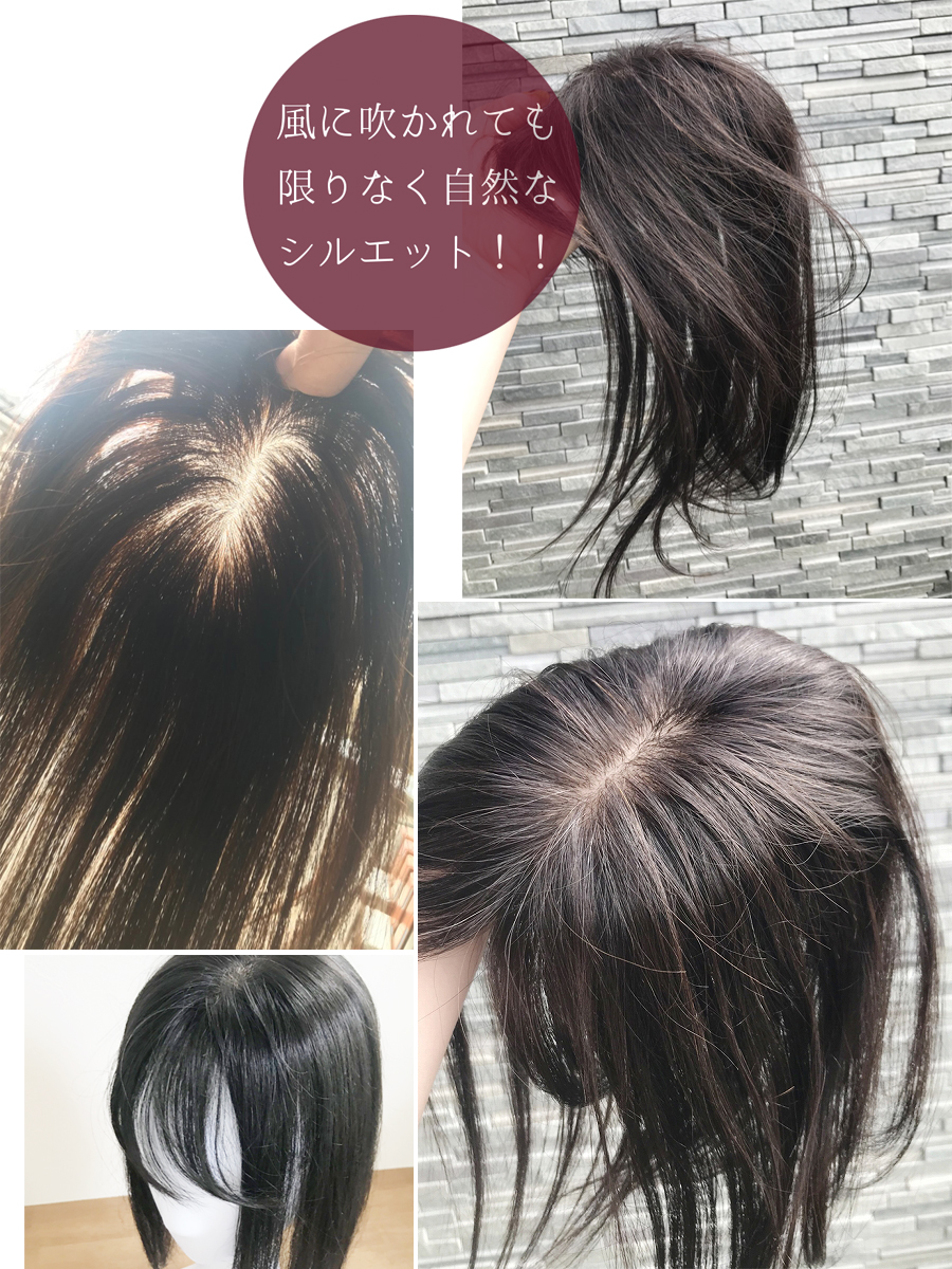 【楽天市場】BISHUKU 高品質 ヘアピース 人毛 100 25cm(24cm～28cm) ※前髪付き※ 総手植え 部分ウィッグ 分け目