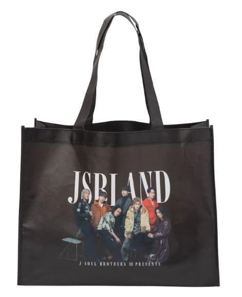 atelier別注　SIMEONA LEONA エコバック SHINICHIRO ARAKAWA バックパック シンイチロウアラカワ