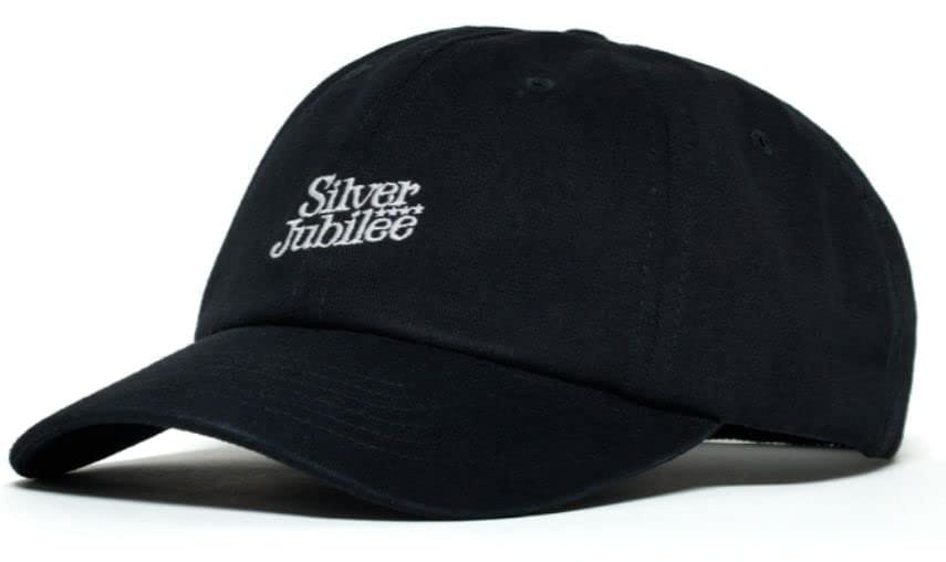 BUMP OF CHICKEN(バンプオブチキン)公式グッズ 2022 Silver Jubilee キャップ
