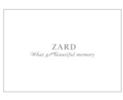 ZARD（ザード）坂井泉水「What a beautiful memory 2007」 小冊子