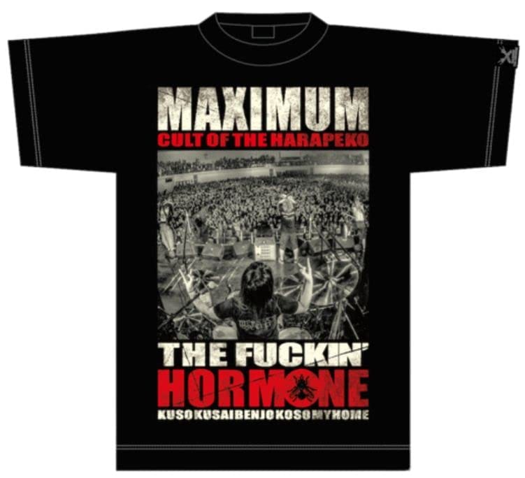 マキシマムザホルモン CULT OF THE HARAPEKO HAE 「蝿」 Tシャツ（黒）XL