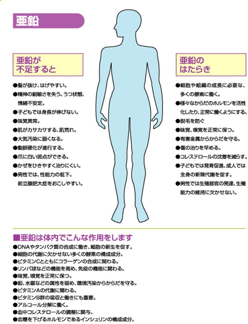 メール便なら送料無料 楽天市場 4粒 1袋 携帯用 箱なし 日本クリニック バランスターｗｚ 480粒 美天ｂｉｔｅｎ 受賞店舗 Www Secom Com Uy