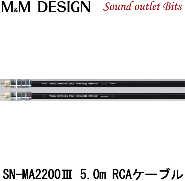 人気ブレゼント! ルロワショップ Yahoo 店DAP-A3000X DAP用バランス