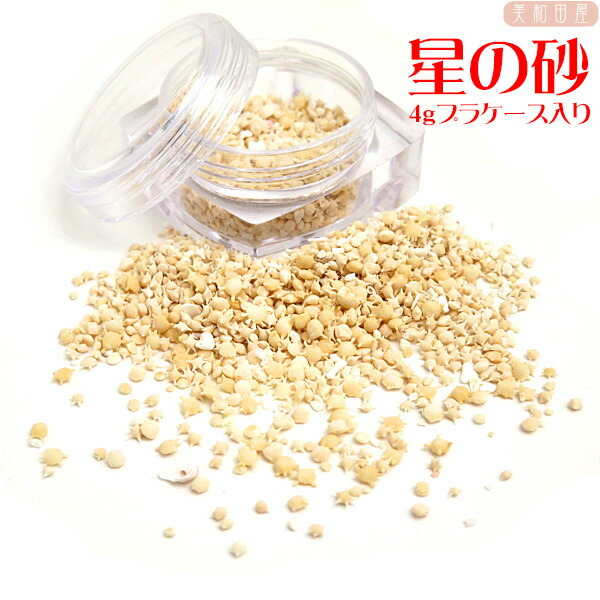 海のカケラ✴︎セール 琉球 レジン ✴︎海のたね 貝殻 サンゴ ハーバリウム 