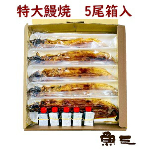 国産活うなぎ焼 5尾 箱入(蒲焼・白焼)|びわ湖の幸 魚三