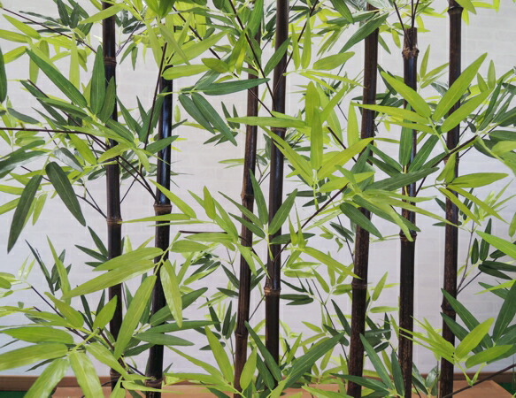 開店祝い 黒竹8本立パーテーション180cm 人工竹 造花 大型 インテリア 和風 庭 フェイクグリーン バンブー 目隠し 間仕切り 販売 大型 衝立 ついたて おしゃれ クロタケ New限定品 Lazybonessmokehouse Net