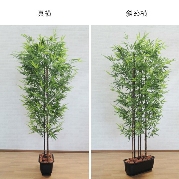 楽天市場 黒竹パーテーション 180cm 衝立 人工竹 造花 樹木 人工観葉植物 1 8m バンブー インテリア 目隠し おしゃれ 室内 クロタケ 造花観葉植物専門店ビワールデコ