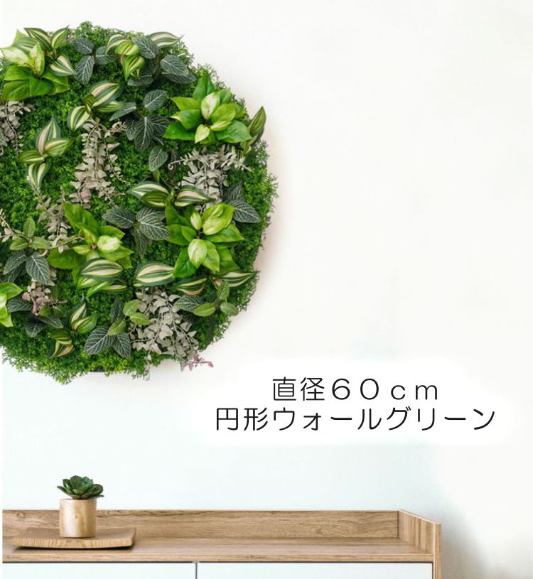 苔 ウォール緑であること ダイアログボックス 差しわたし約60糎 (壁面 緑化 造花 苔 ウォール緑であること 巡回 御洒落 見せびらかす 室内装飾 かざり付ける)(法人様向け、取り付け金具皆無）