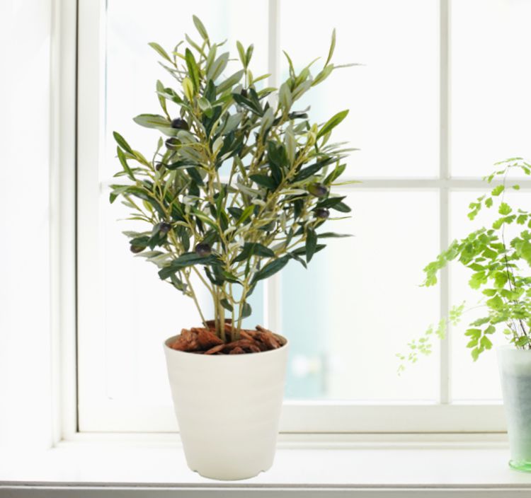 オリーブ 人工観葉植物 室内用 フェイクオリーブ 人工植物 フェイクグリーン 人工観葉植物 大型