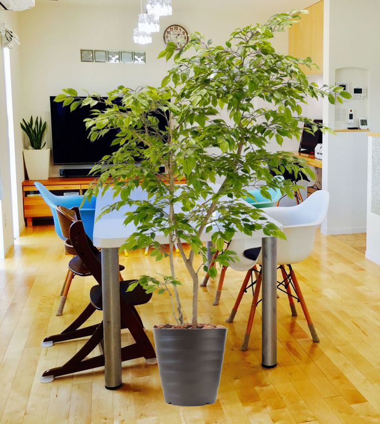 楽天市場】ベンジャミン スターライト 110cm (人工観葉植物 造花