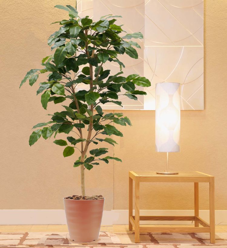 ベンガレンシス 180cm (ベンガルゴム ボダイジュ 菩提樹 フェイク グリーン 大型 人工 観葉植物 造花 インテリア おしゃれ 室内 鉢植え 装飾 ディスプレイ 店舗 飾り シンボルツリー 自作 植栽 業者 メーカー ベストグリーン オリジナル 製造元 虫がつかない) 45,045円